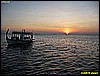 IMG_2363.JPG