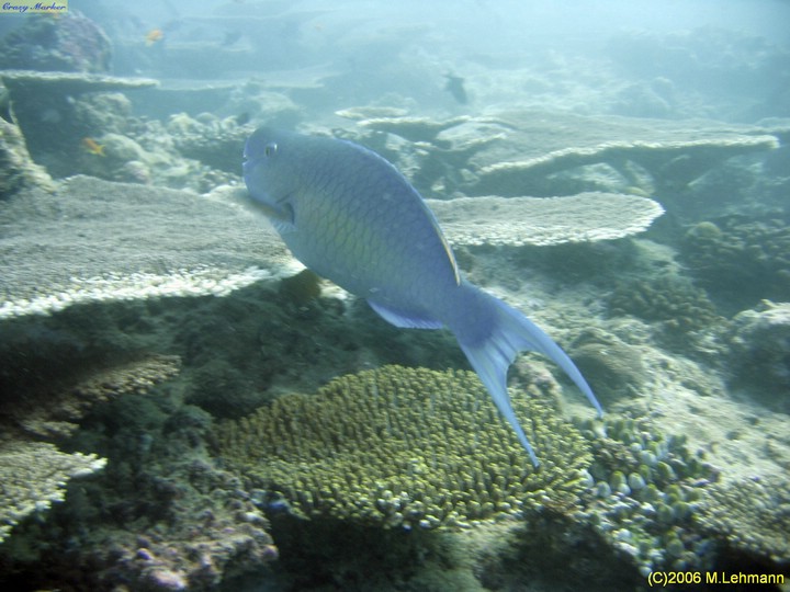 IMG_2513.JPG
