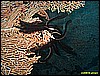IMG_2372.JPG