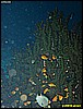 IMG_2378.JPG