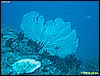 IMG_2393.JPG