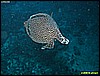 IMG_2406.JPG