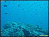 IMG_2408.JPG