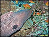 IMG_2417.JPG