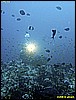 IMG_2420.JPG