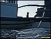 IMG_2427.JPG