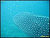 IMG_2448.JPG