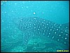 IMG_2449.JPG