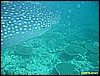 IMG_2450.JPG