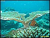 IMG_2458.JPG