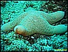 IMG_2459.JPG