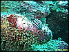 IMG_2462.JPG