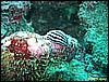 IMG_2463.JPG