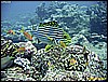 IMG_2474.JPG