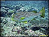 IMG_2475.JPG