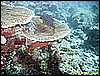IMG_2476.JPG