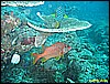 IMG_2477.JPG