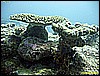 IMG_2479.JPG