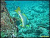 IMG_2481.JPG