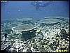IMG_2484.JPG