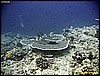 IMG_2485.JPG