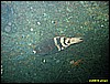 IMG_2490.JPG