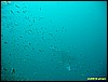 IMG_2492.JPG