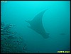 IMG_2493.JPG