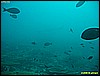 IMG_2495.JPG