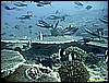 IMG_2496.JPG