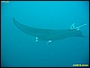 IMG_2500.JPG