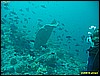 IMG_2504.JPG