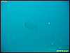 IMG_2507.JPG