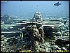IMG_2511.JPG