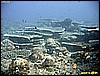 IMG_2512.JPG