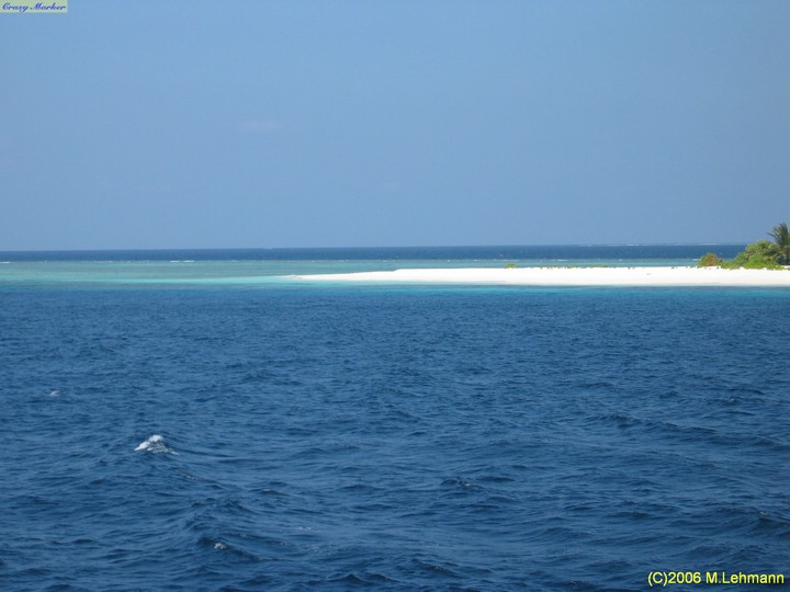 IMG_2556.JPG
