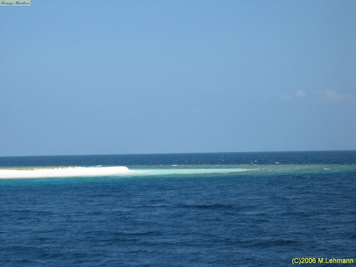 IMG_2558.JPG