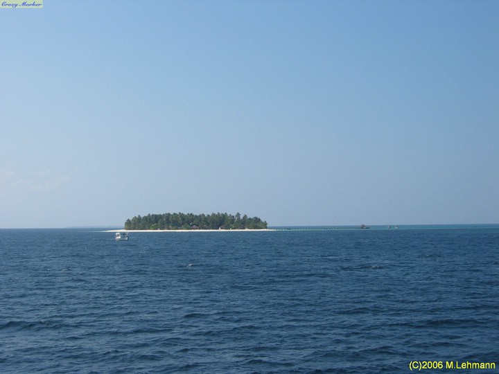 IMG_2564.JPG