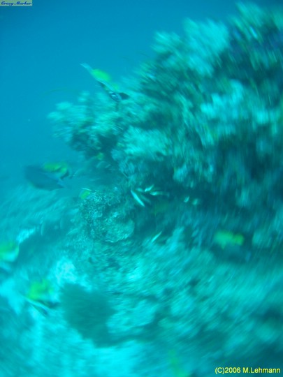 IMG_2572.JPG