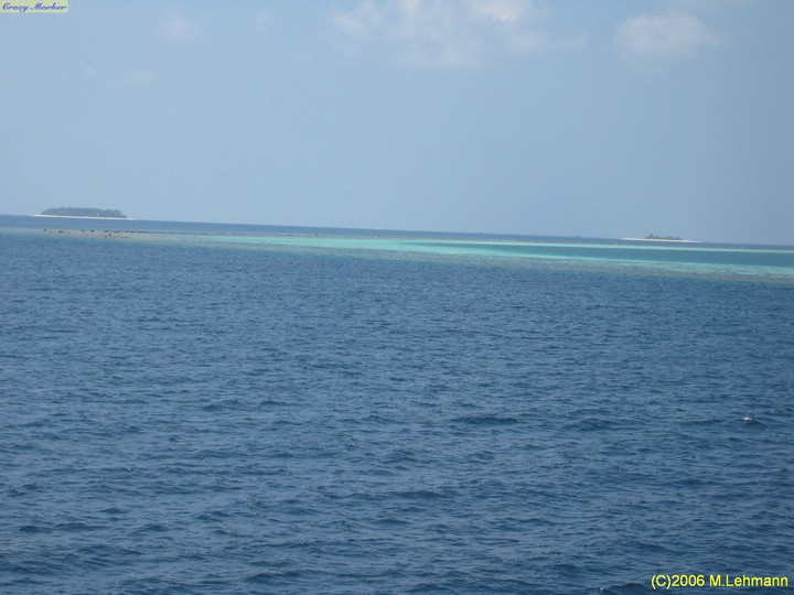 IMG_2584.JPG