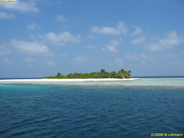 IMG_2590.JPG