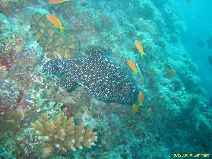 IMG_2644.JPG