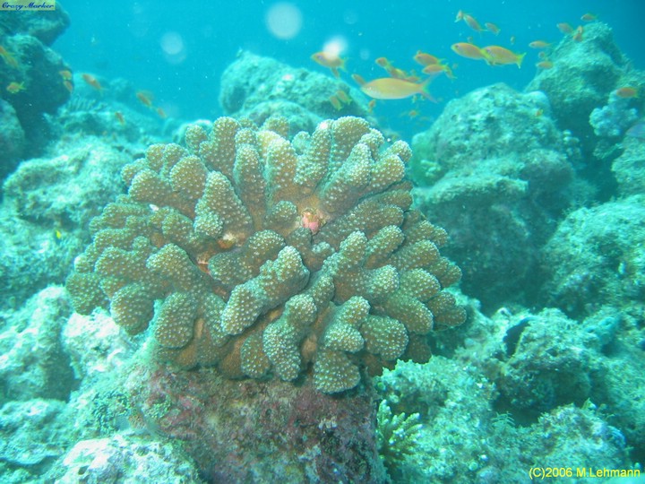 IMG_2655.JPG