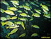 IMG_2531.JPG