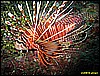 IMG_2532.JPG
