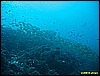 IMG_2534.JPG