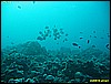 IMG_2539.JPG