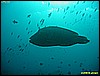 IMG_2540.JPG
