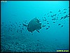 IMG_2541.JPG