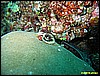 IMG_2543.JPG